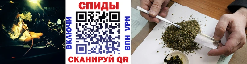 Бутират буратино  Солигалич 