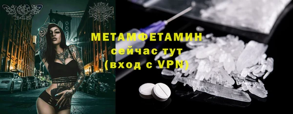 прущие грибы Армянск