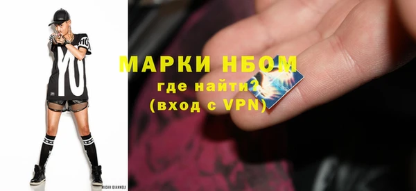 прущие грибы Армянск