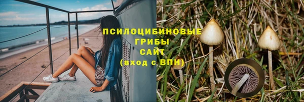 прущие грибы Армянск
