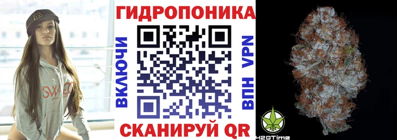 Бошки Шишки гибрид  Солигалич 